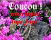 Mon lapin coucou 