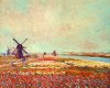 Bulbfield Windmill Monet