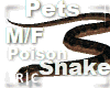 R|C Brown Snake M/F