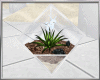 Plant in Glass Cube