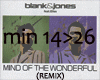 MindOfTheWonderful2/2Mix
