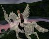 (H) Dreamy Pegasus