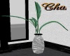 Cha`R/Acres Potted Plant