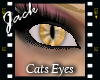 Cats Eyes Yellow