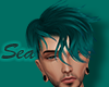 Sea~ Envy Rhett