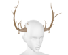 *Wood Elf Horns*