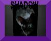 Shadow's Black Cat
