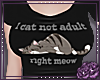 Cat not adult (B)
