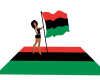 PAN AFRICAN  POLE FLAG