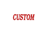 (Am) Custom V2