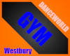 Westbury Academy GYM