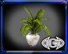 White~Slvr Plant Vase(S)