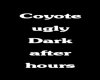 coyot ugly after dark