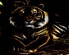 Sweet tiger