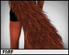 FNAF | Foxy Tail