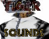 Slave Tiger Sound Collar