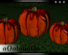 .L. Pumpkin Seats