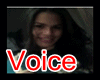 voice box men 