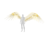 Haloheart Gold Wings