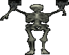 Skeleton2(Anim)