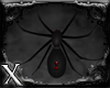 *X* Widow Wall Spider
