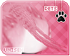 [Pets] Vimi | tail v4