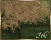-I- Greenhouse Cherry