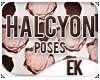 ϟ Halcyon.Poses