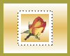 peach rose stamp