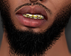 (+_+)VIRGO BEARD V2