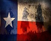 Texas w/Horse Flag