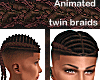 hair twin braids ANI - M