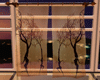 [Bachelor] Curtains