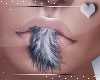 Feather Lips -Grey