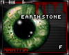 -:| Earth Stone |:-