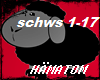 schws 1-17