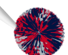 Patriots Cheer poms