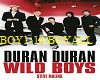 Duran Duran -The Wild...