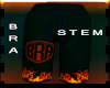 BRA Flame Shorts (StemF)