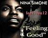 T- Feeleig Good - Nina S