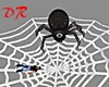 Spider Web Sprint