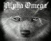 AW~Alpha s Wolf Braid!~