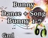 GML| Bunny D+S