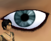 [kflh] Platinum Male Eye