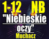 Niebieskie oczy-Muchacz.