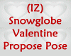 Snowglobe Propose Couple