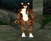 Tony Tiger Furkini F V3