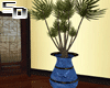 Plant Tree in blue Pot