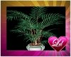 [LD]EnvyMe Plant