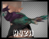 Hz-Green Parrot M/F